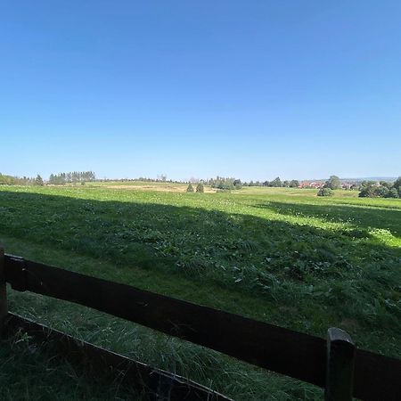 Bergwiesenblick38678 Clausthal-Zellerfeld Esterno foto