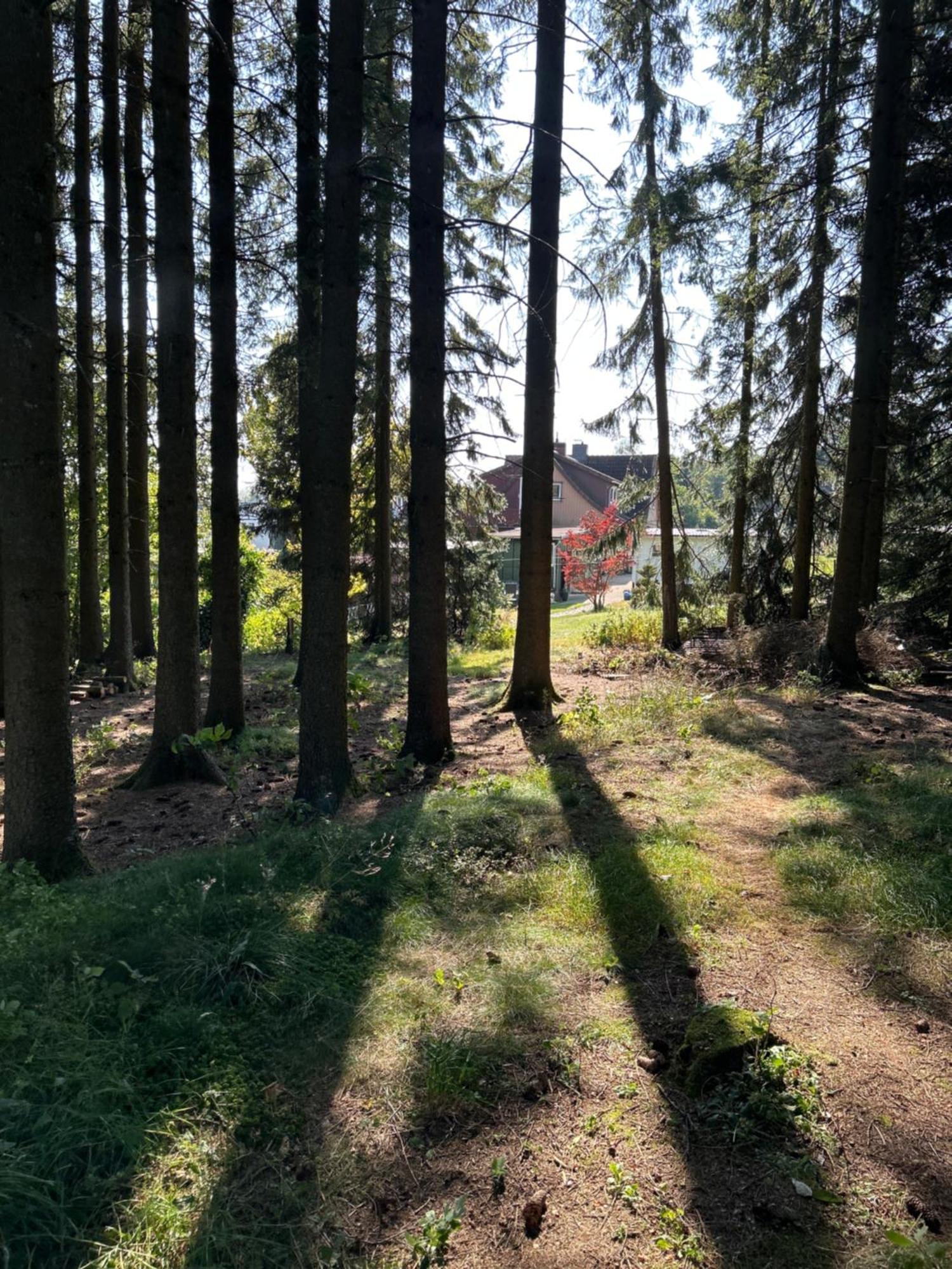 Bergwiesenblick38678 Clausthal-Zellerfeld Esterno foto