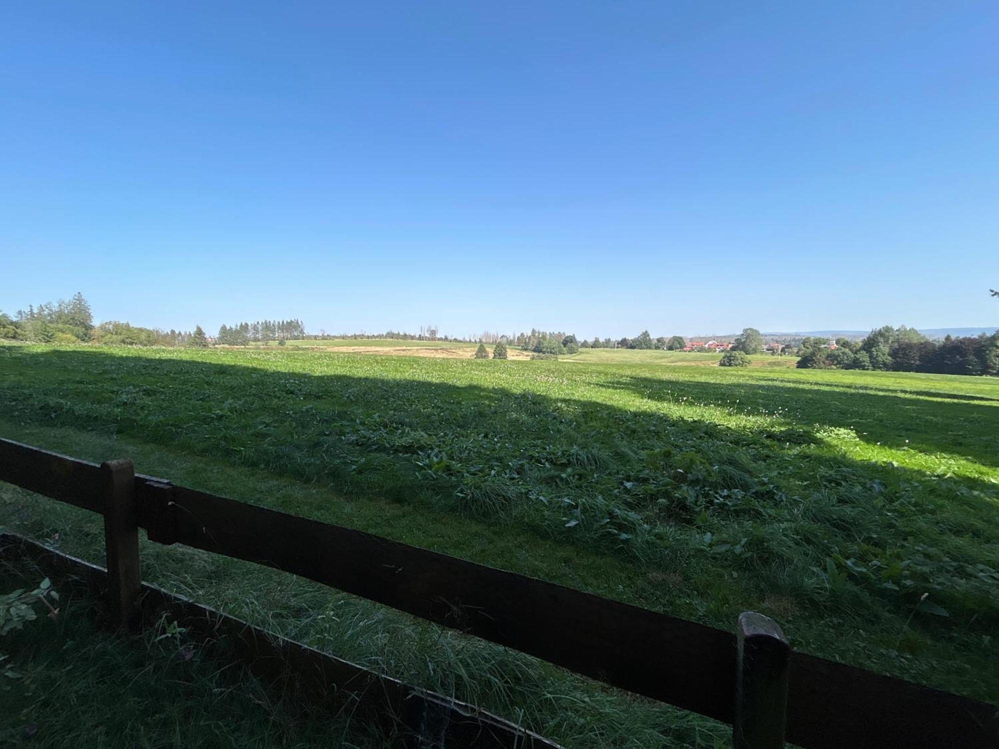 Bergwiesenblick38678 Clausthal-Zellerfeld Esterno foto
