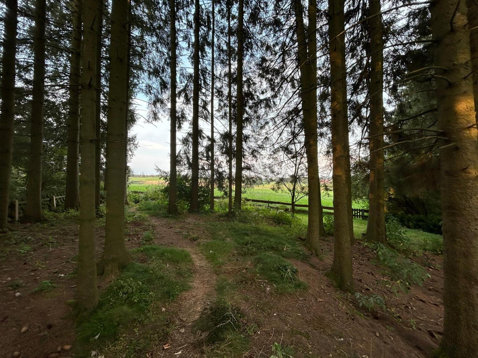 Bergwiesenblick38678 Clausthal-Zellerfeld Esterno foto
